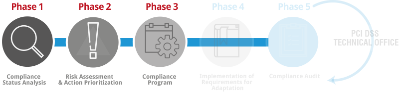 PCI DSS Adaptation Process